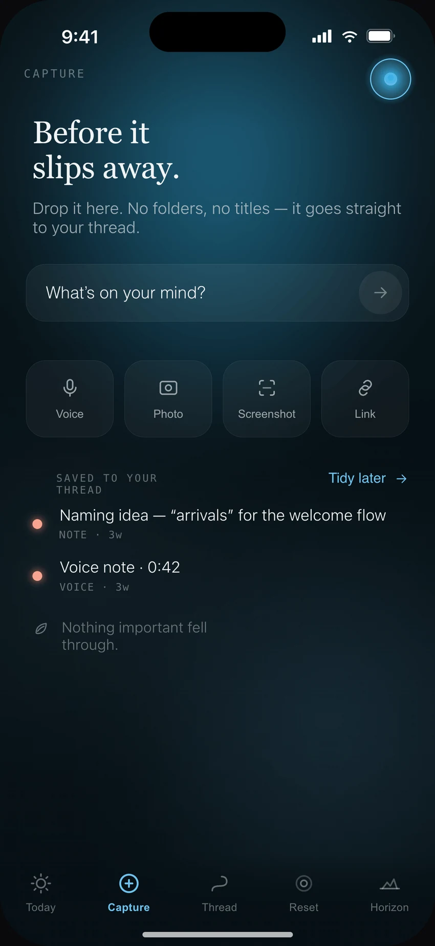 A Naya capture screen showing a thought being set down quickly as text, voice, screenshot or link, with the surrounding context attached automatically.