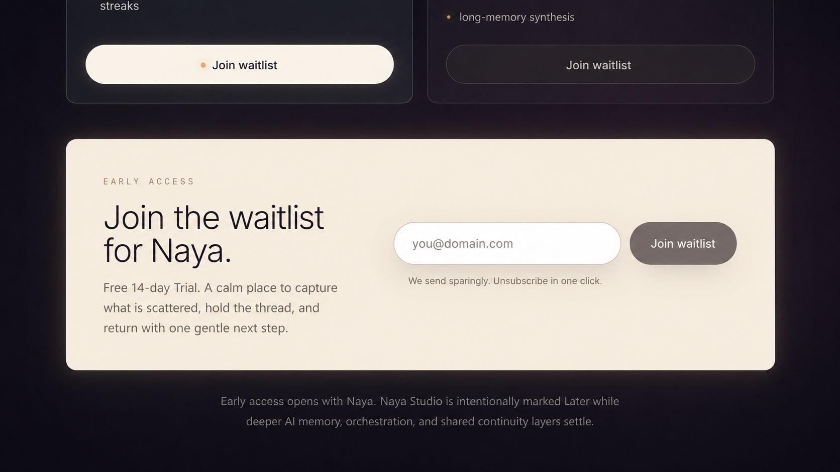 Naya pricing waitlist section with early access copy and an email signup form.
